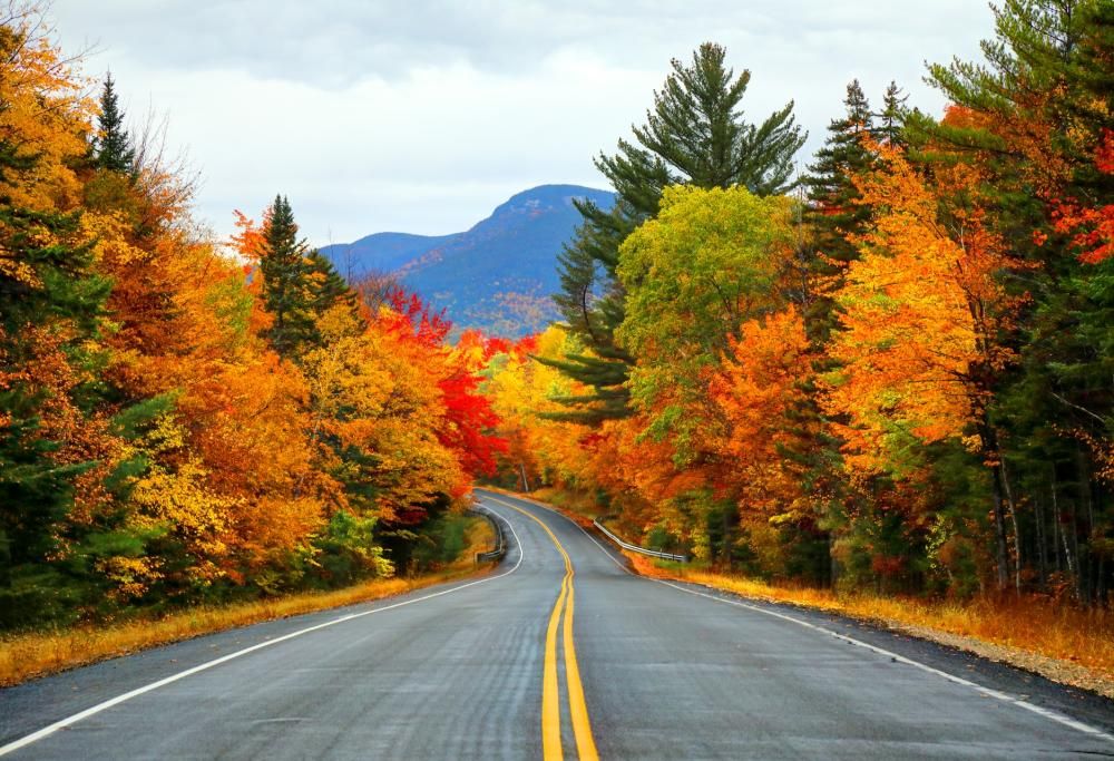 Ecco cosa causa il foliage: tutte le curiosità su questo splendido fenomeno naturale