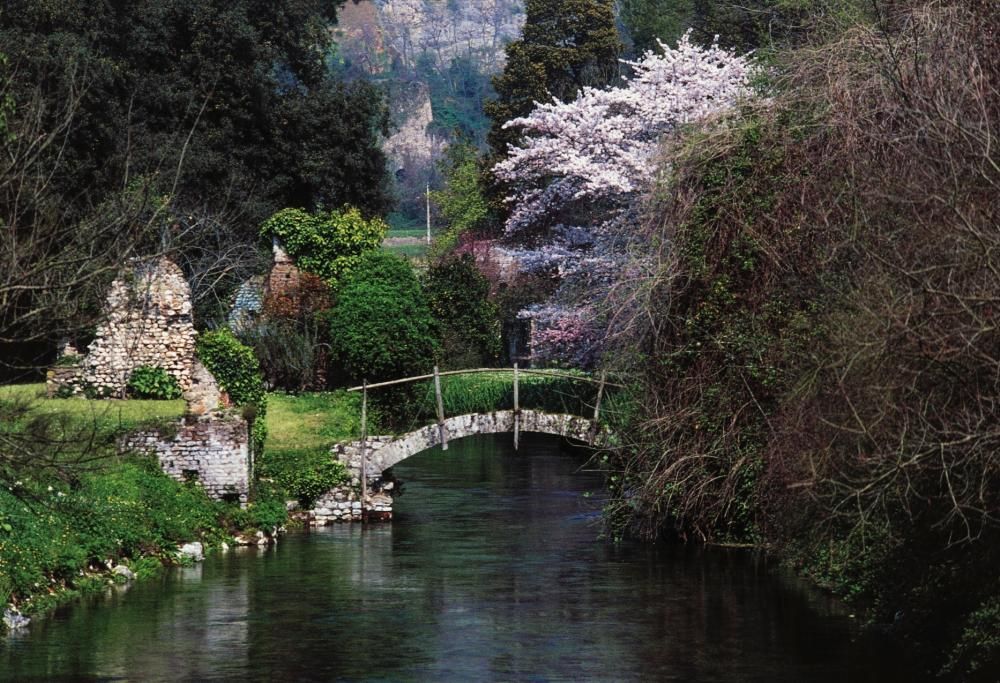 I Giardini di Ninfa mostrano tutta la bellezza della primavera