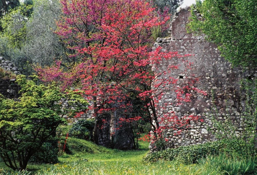 Il meraviglioso Giardino di Ninfa riapre: ecco tutte le date in cui ammirarlo