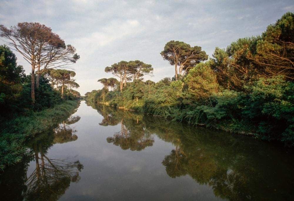 La bellissima storia del 18enne che ripulisce il Po