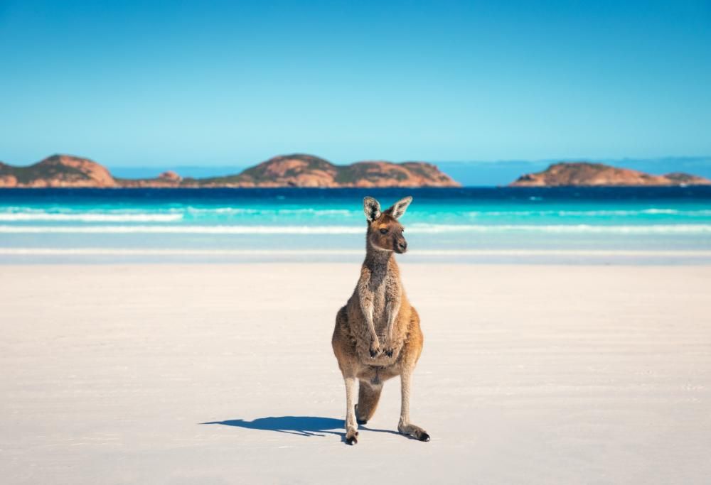 Scopri il Western Australia, una terra meravigliosa