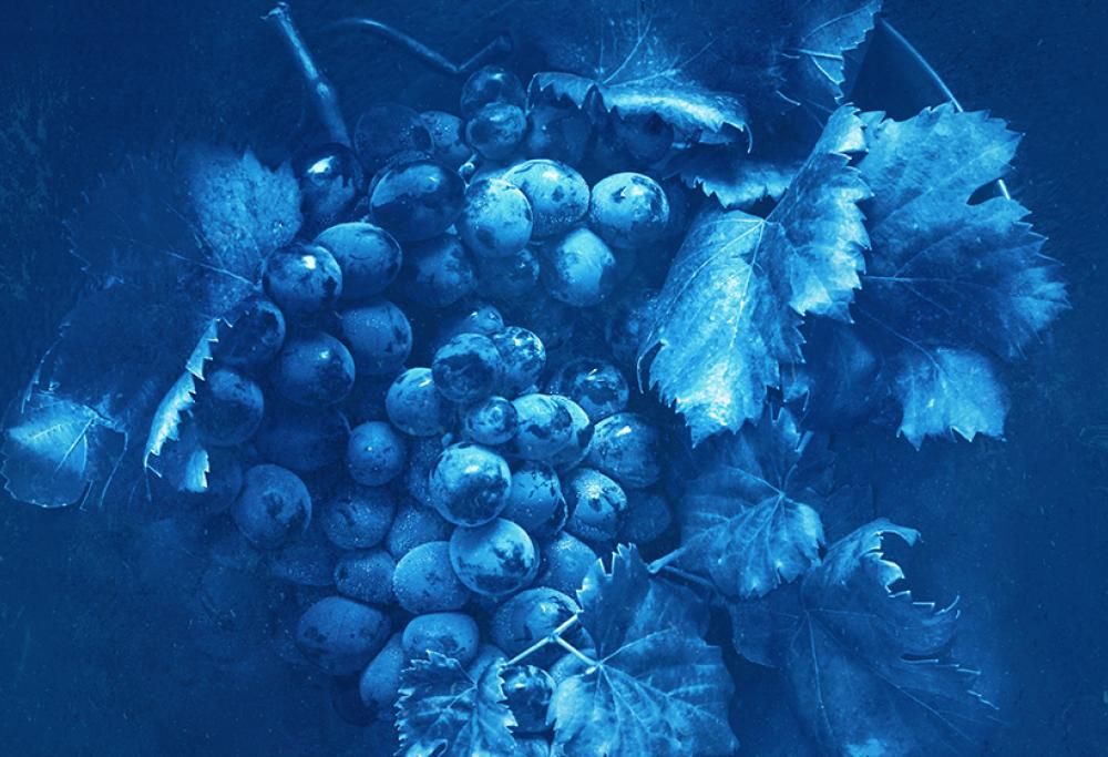 Le interviste del week end – Merano Wine Festival 2024: Andrea Radic vini Underwater