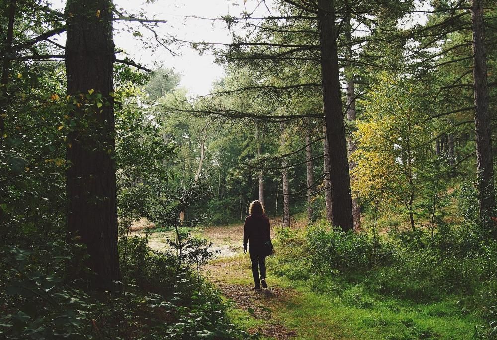 La nuova tendenza è lo smart walking