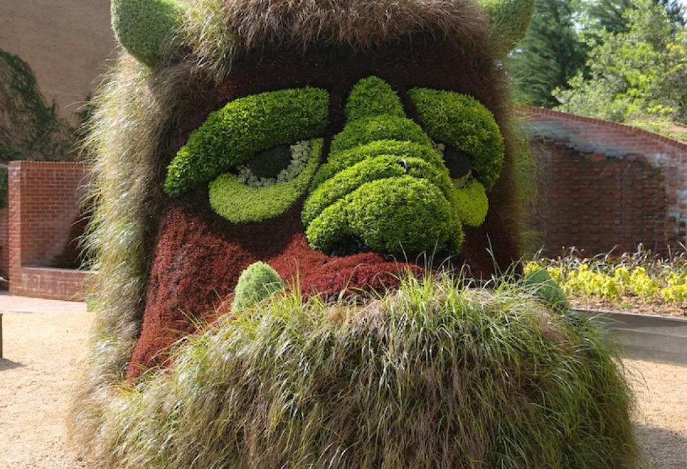 Sculture Verdi al giardino botanico di Atlanta