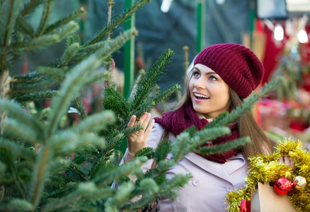 Albero di Natale vero o artificiale? Le risposta non è quella che vi aspettereste