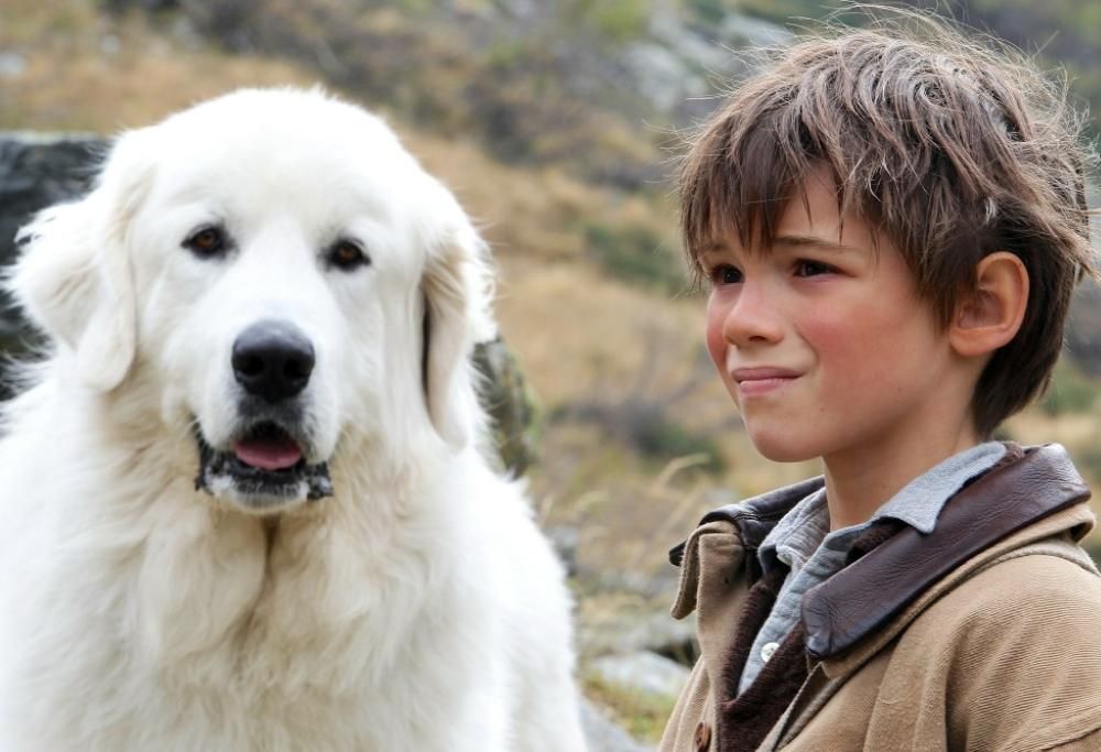 Belle & Sebastien: il film