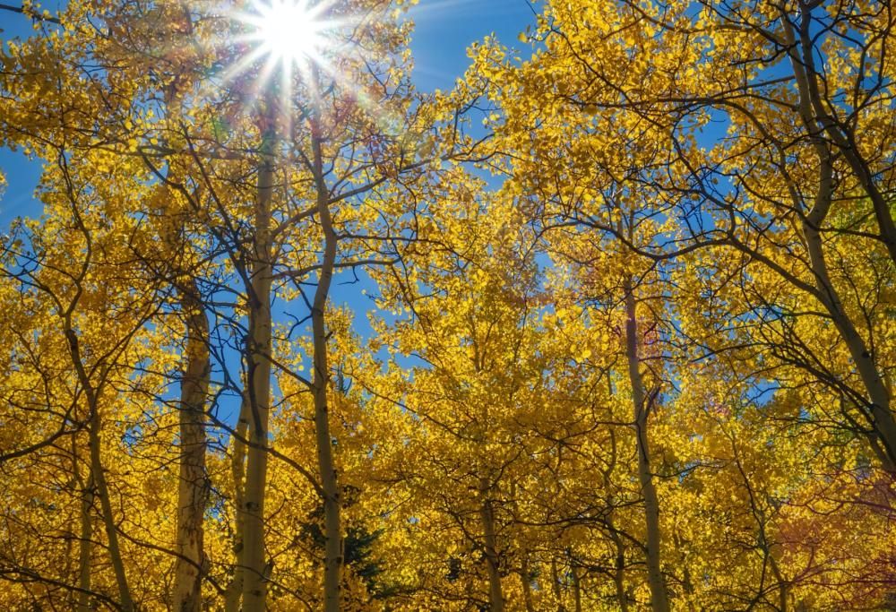 Le tendenze del 2021