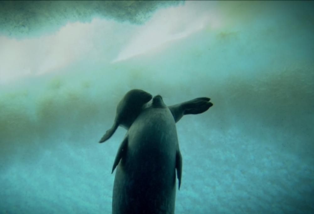 One Life: le immagini