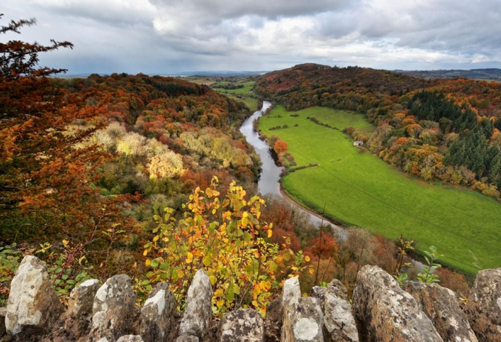 Foliage. In Inghilterra il primo percorso ufficiale per contemplare la magia dell’autunno