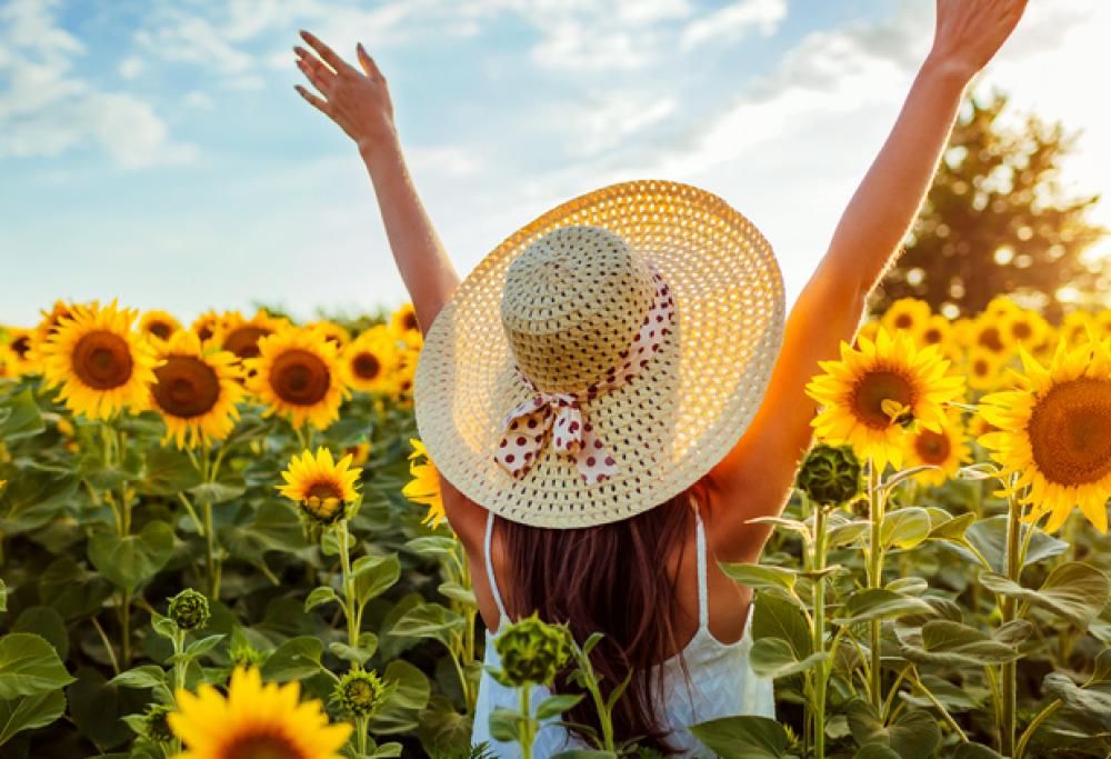 Un agricoltore pianta 2 milioni di girasoli per regalare gioia alle persone