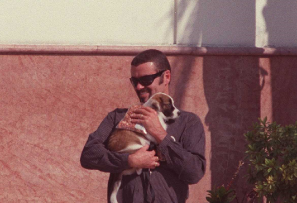 26 agosto: Giornata Mondiale del Cane