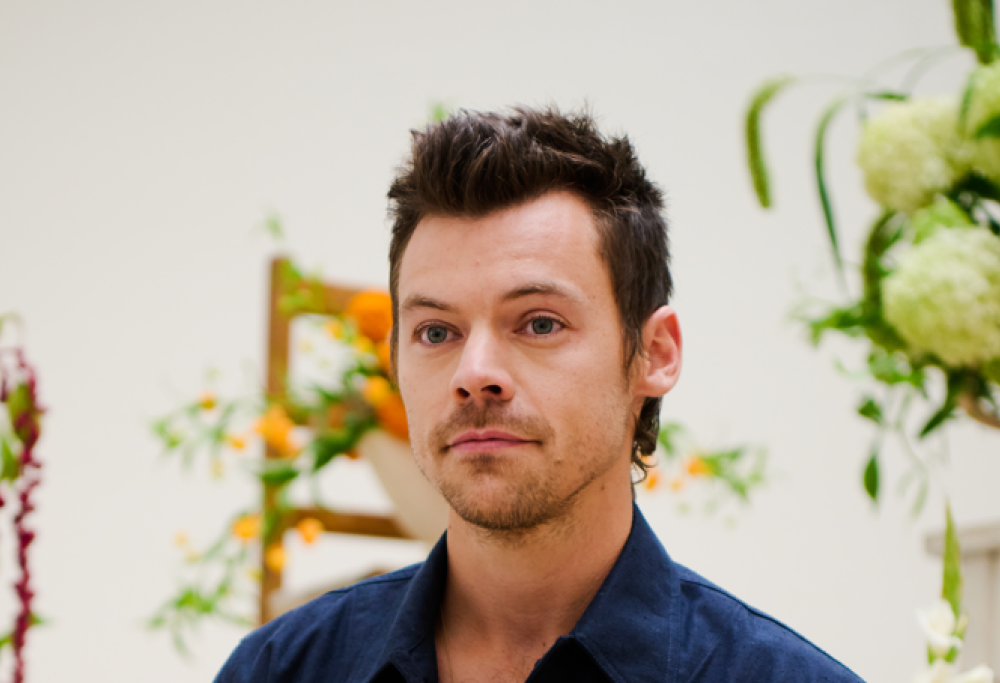 Harry Styles a Roma aiuta una fan a parcheggiare. E fallisce. Il video