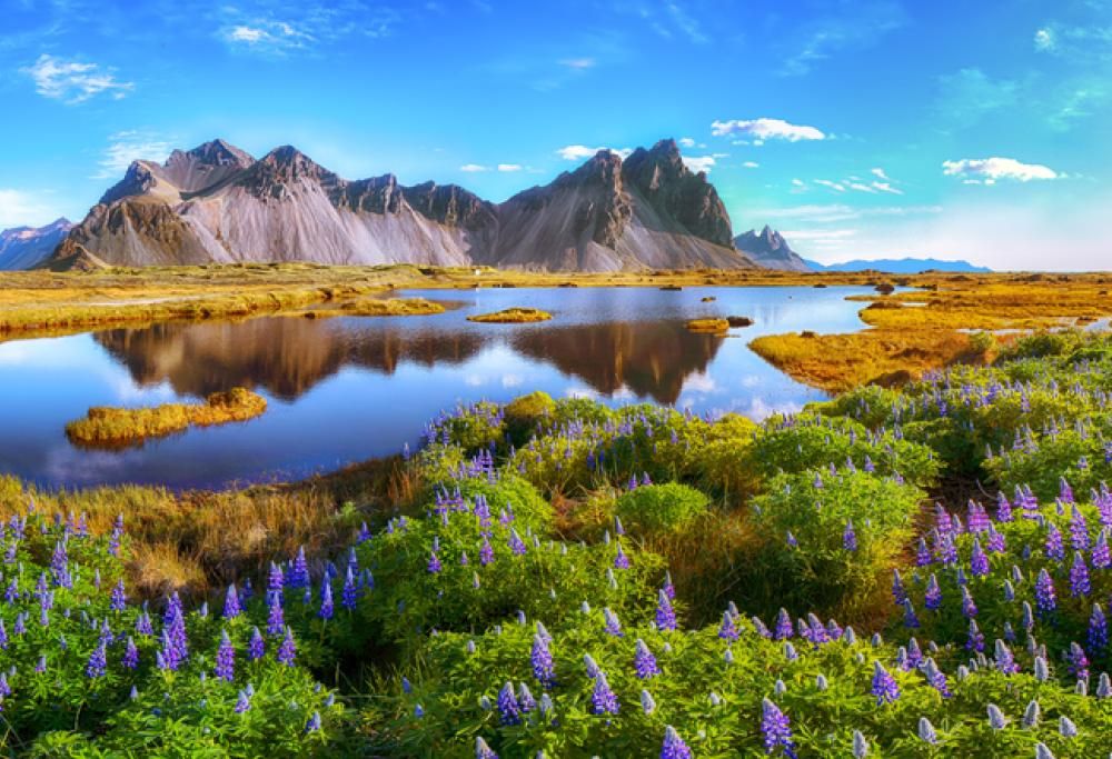 Dall’Islanda all’Austria… ecco i Paesi più pacifici del mondo