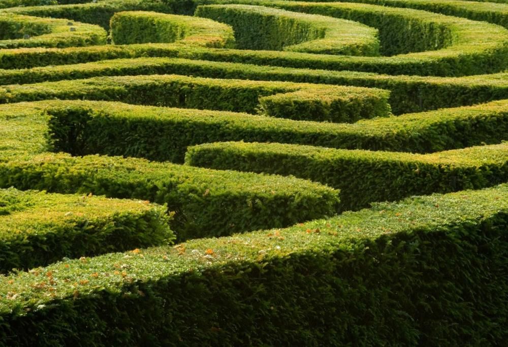 Giardini e incanti: il fascino arcano dei labirinti vegetali