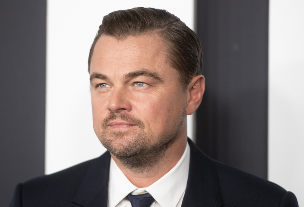Leonardo DiCaprio ammira il dipinto da cui prese il nome