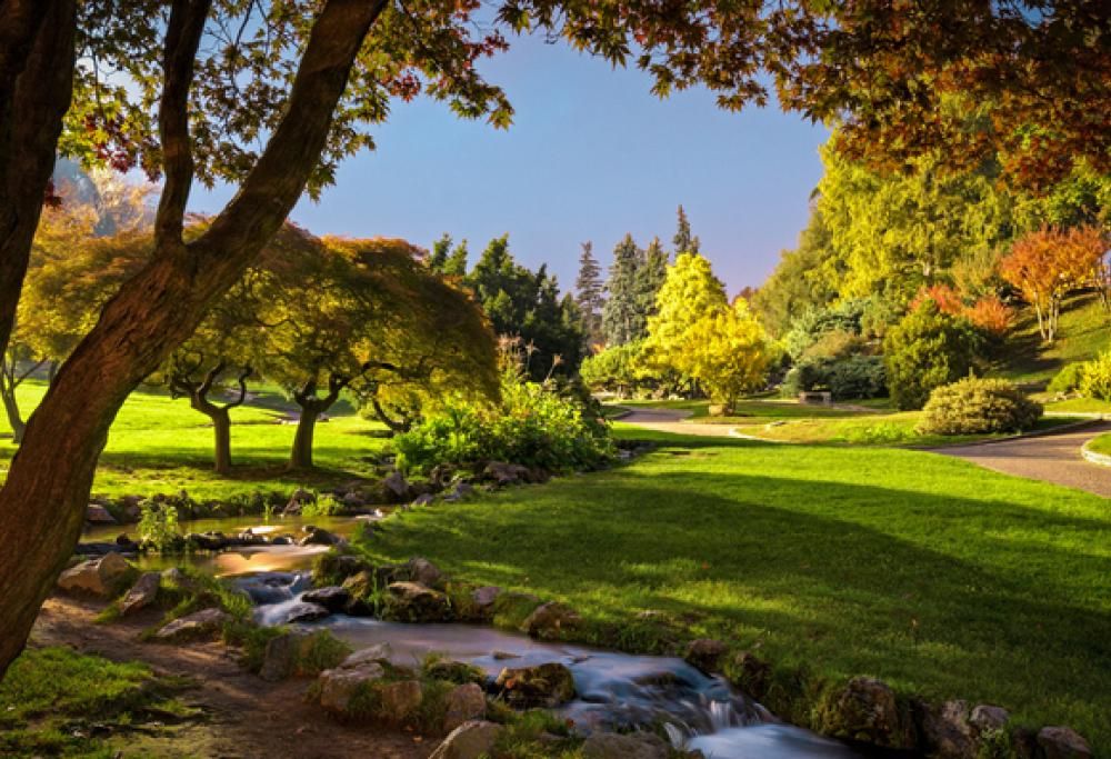 Scopri la bellezza dei parchi dietro casa