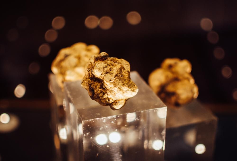 Sono questi i cibi più costosi della storia