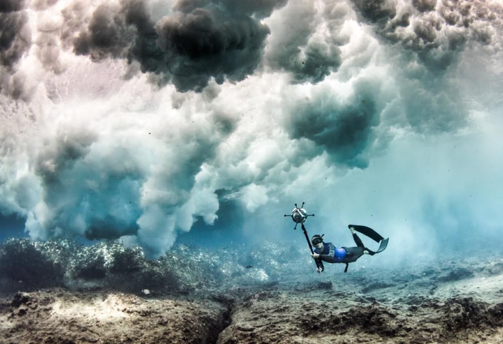 Tutto quello che probabilmente non vi hanno raccontato sugli squali