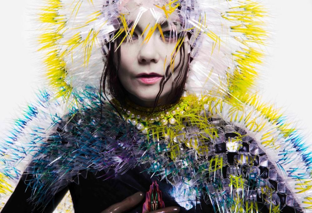 Bjork da collezione