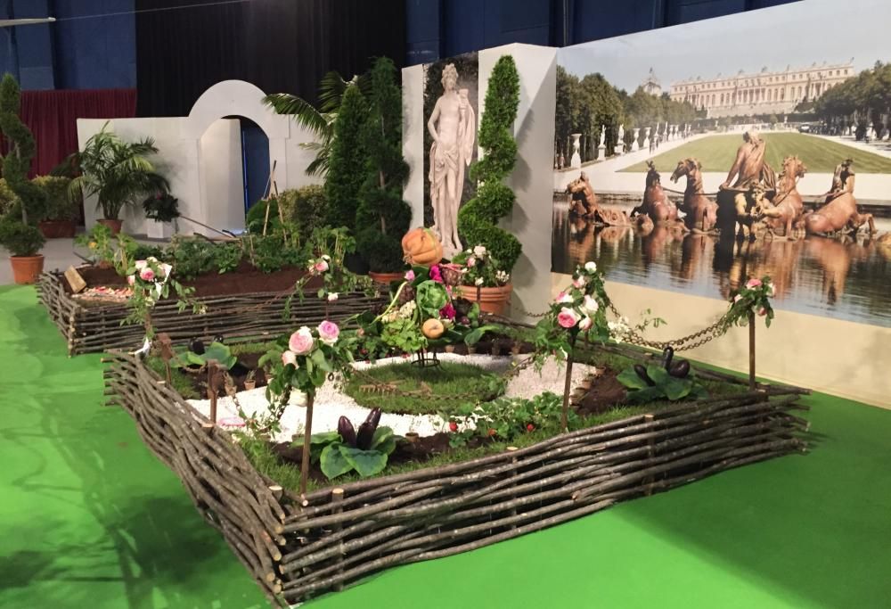 Le foto più belle della manifestazione