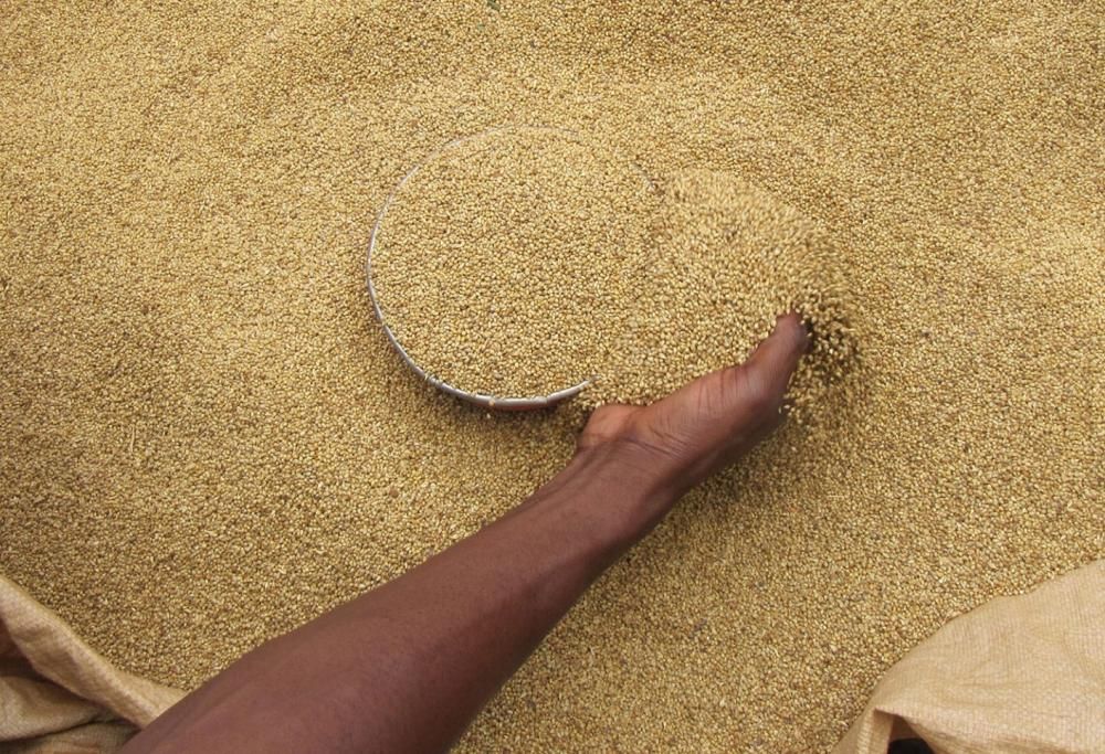 Combattere la malnutrizione