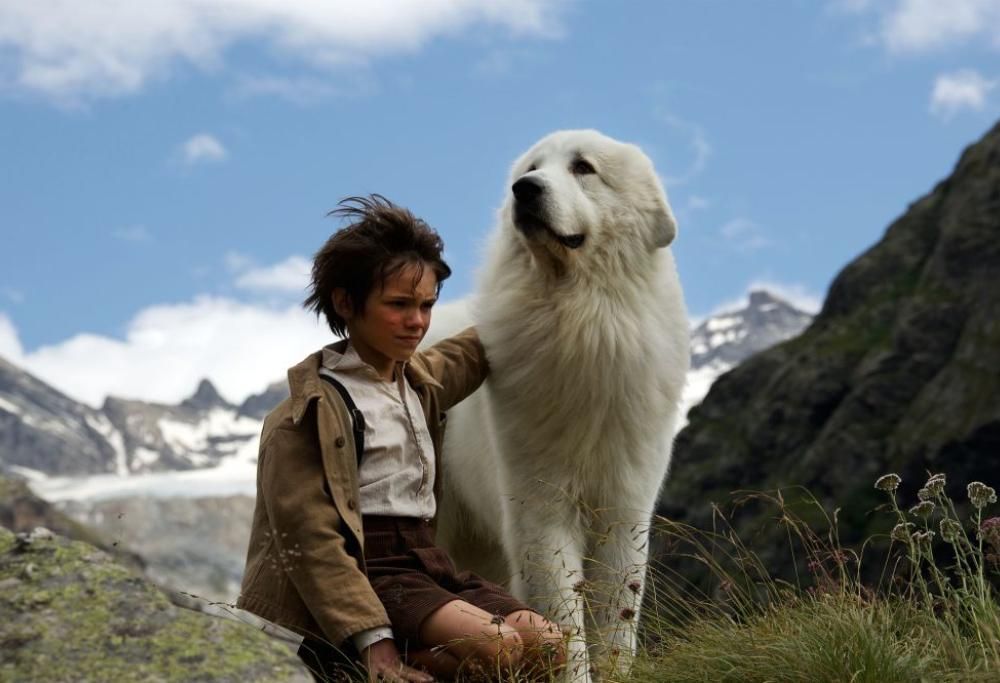 Belle & Sebastien- L’avventura continua