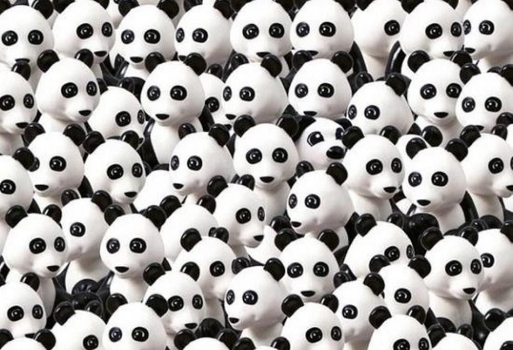 Trova il cane in questo mare di panda!
