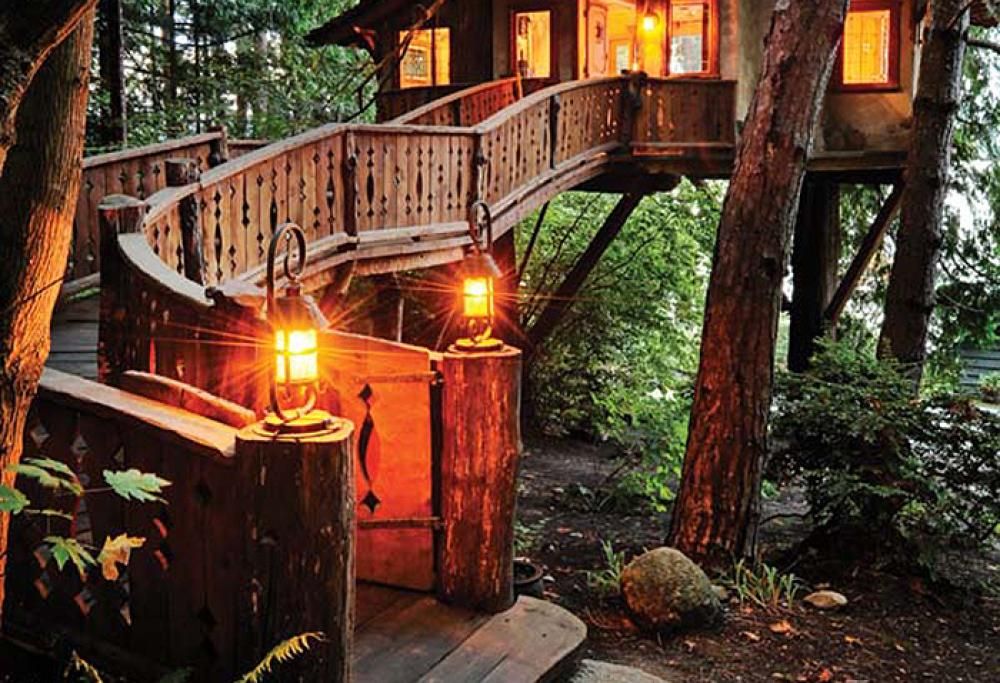 Vivere su un albero: sogno o realtà?