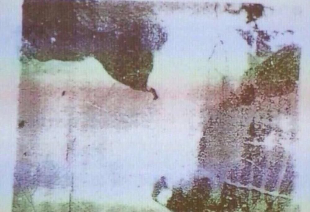 Cosa vedete in questa immagine?