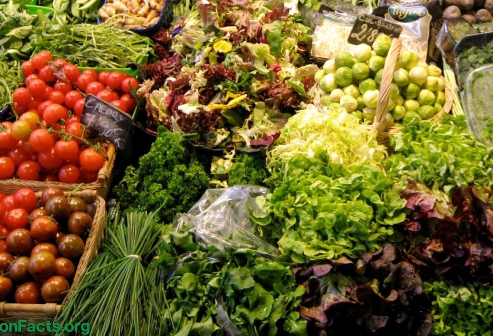 Incredibile ma vero: scopri le ultime novità sul cibo! Meglio quello crudo o quello cotto?