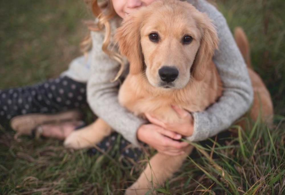 Scopri i 10 contenuti da non postare mai sui social!