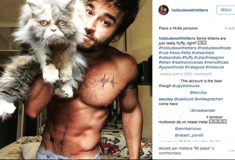 Non solo gattini: ecco la pagina social che raccoglie foto di bei ragazzi con i propri mici. Ed è subito successo! Scoprila anche tu