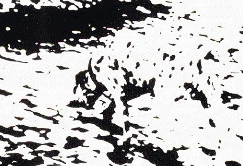 Voi che cosa vedete in questa immagine?