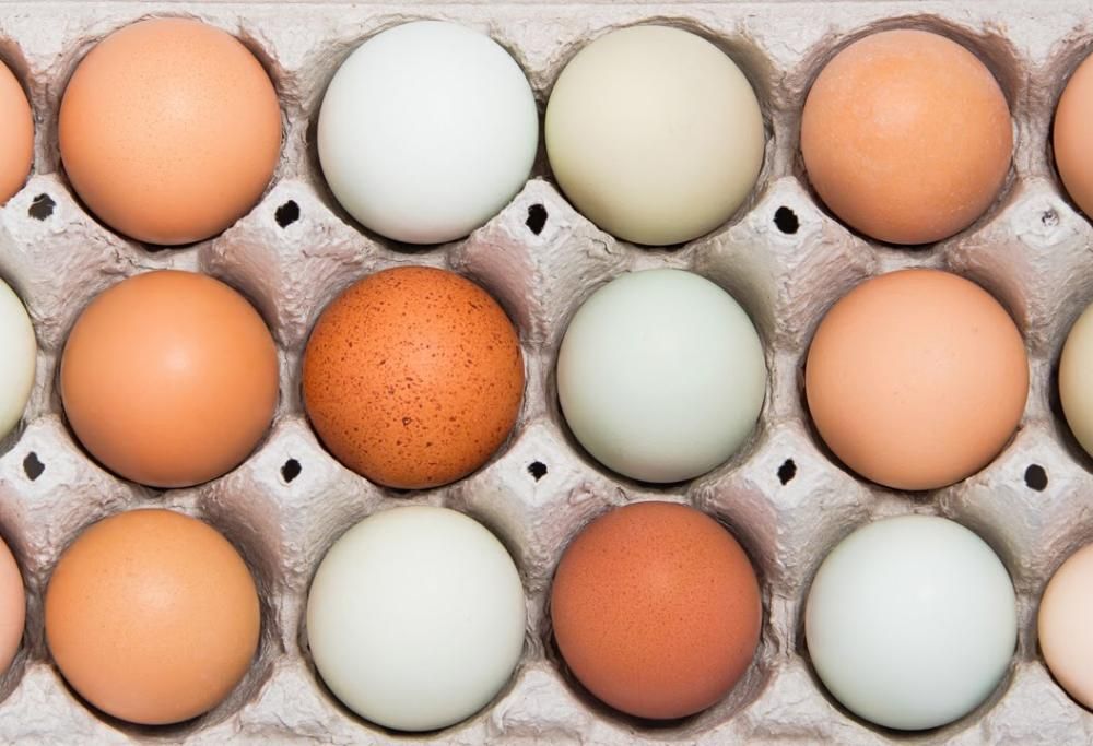 Uova bianche o marroni, quali sono le migliori? Finalmente la risposta!