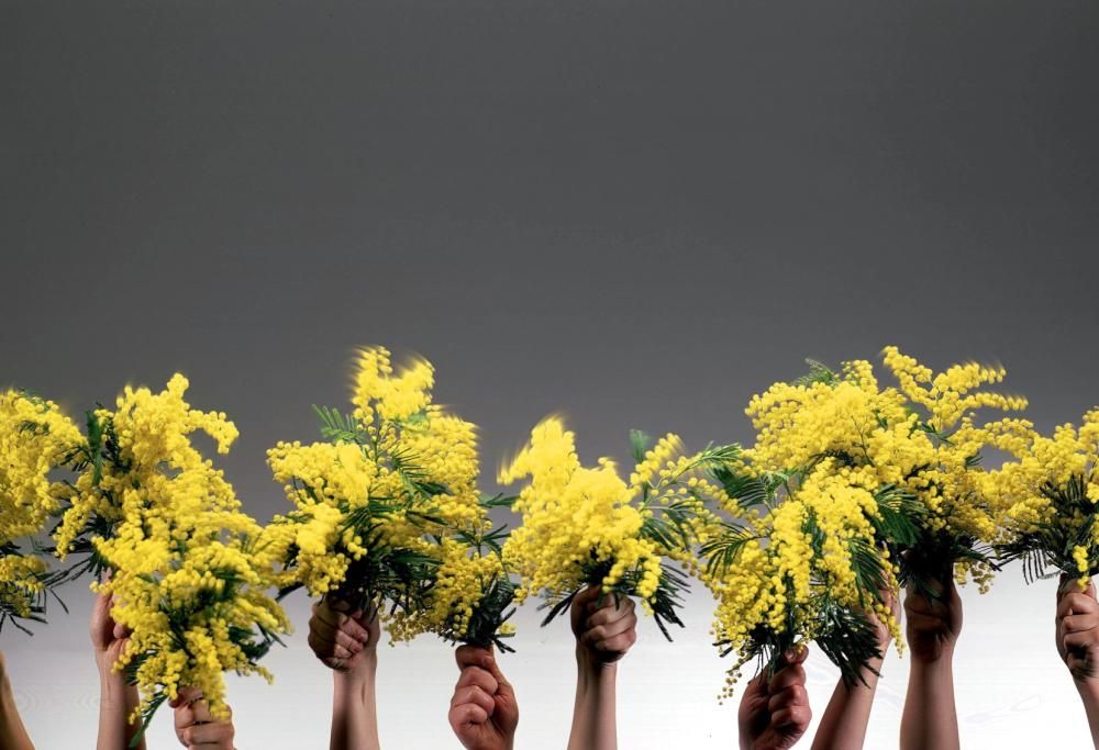 9 modi perfetti per festeggiare al meglio l’8 marzo