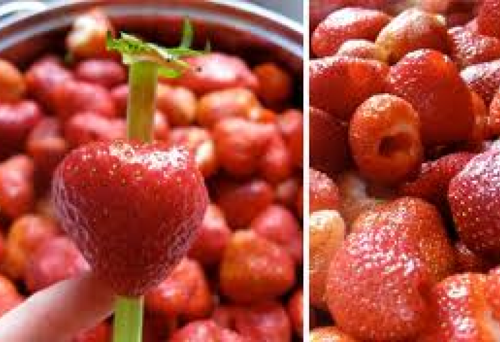 10 soluzioni che possono risolvere piccoli (e grandi) problemi