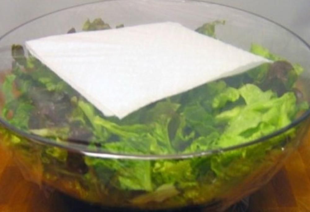 Ecco come conservare più a lungo l’insalata