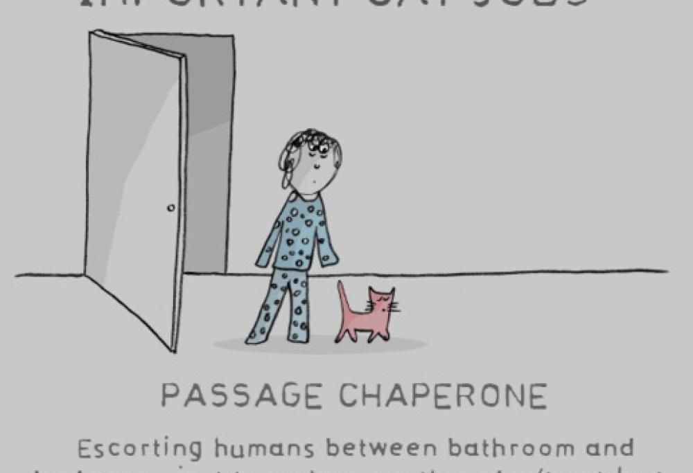 15 importanti lavori che i nostri gatti svolgono per noi