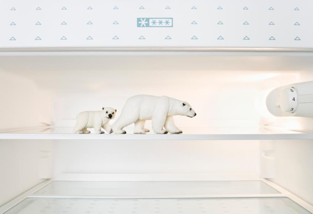 Tutti i segreti per un frigo… che vi aiuta a tenervi in forma!