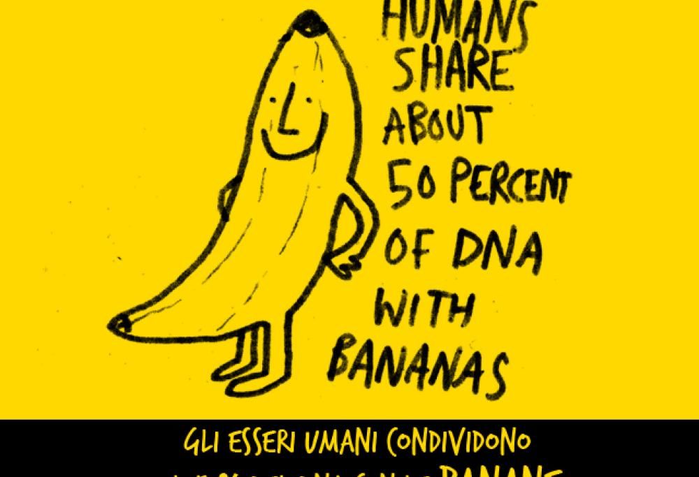 12 curiosità incredibili dal mondo