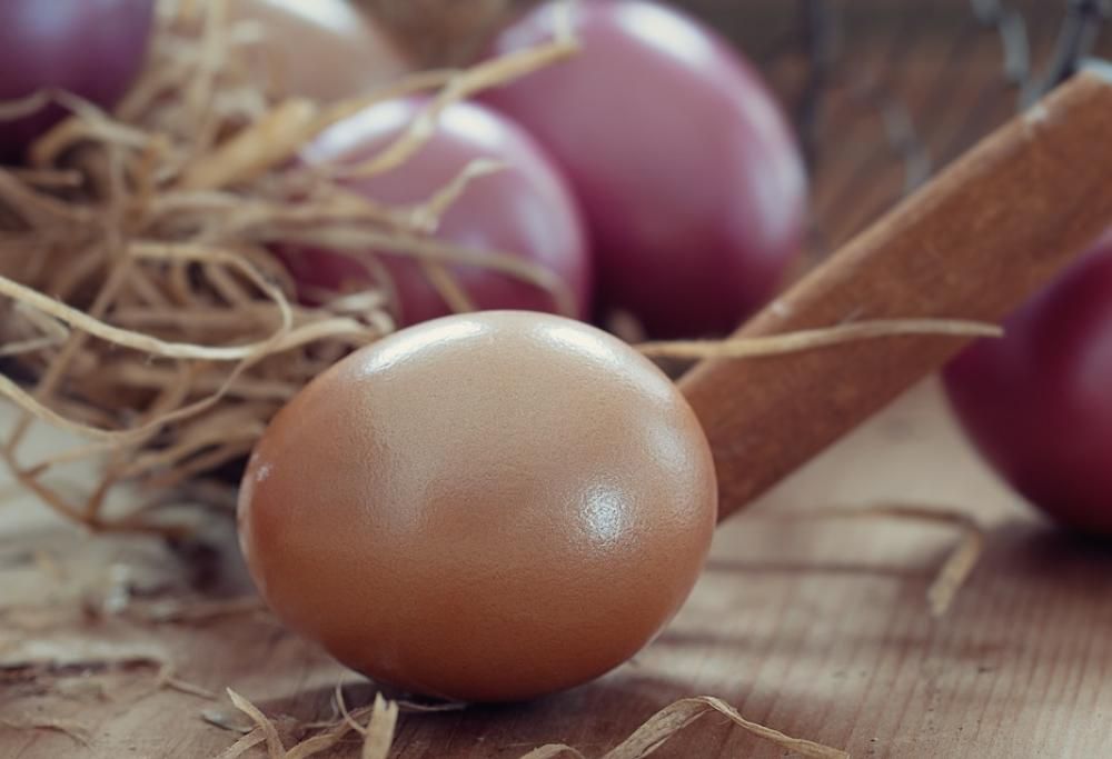 I 20 cibi per superare la prova costume