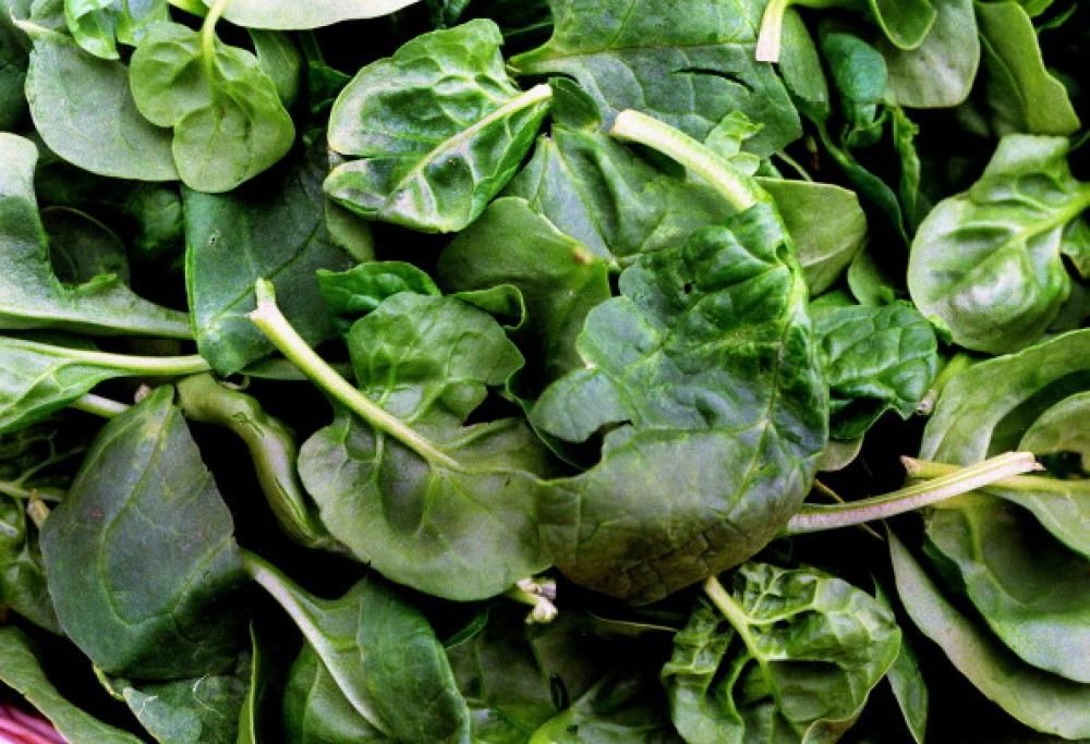 Non scaldate mai questi 5 alimenti la microonde