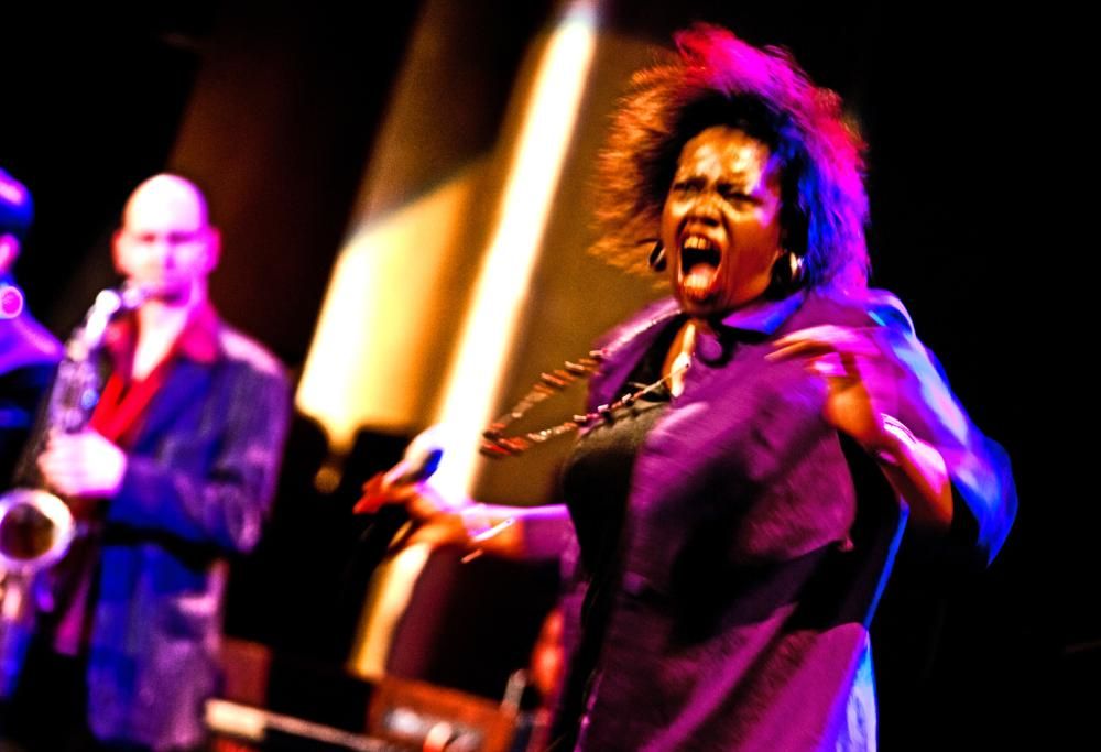 Club Des Belugas: le foto più belle