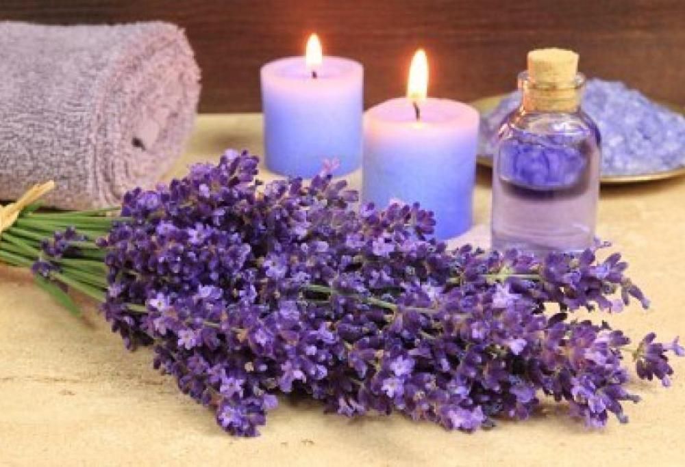 L’olio antistress alla lavanda: tutti i suoi benefici