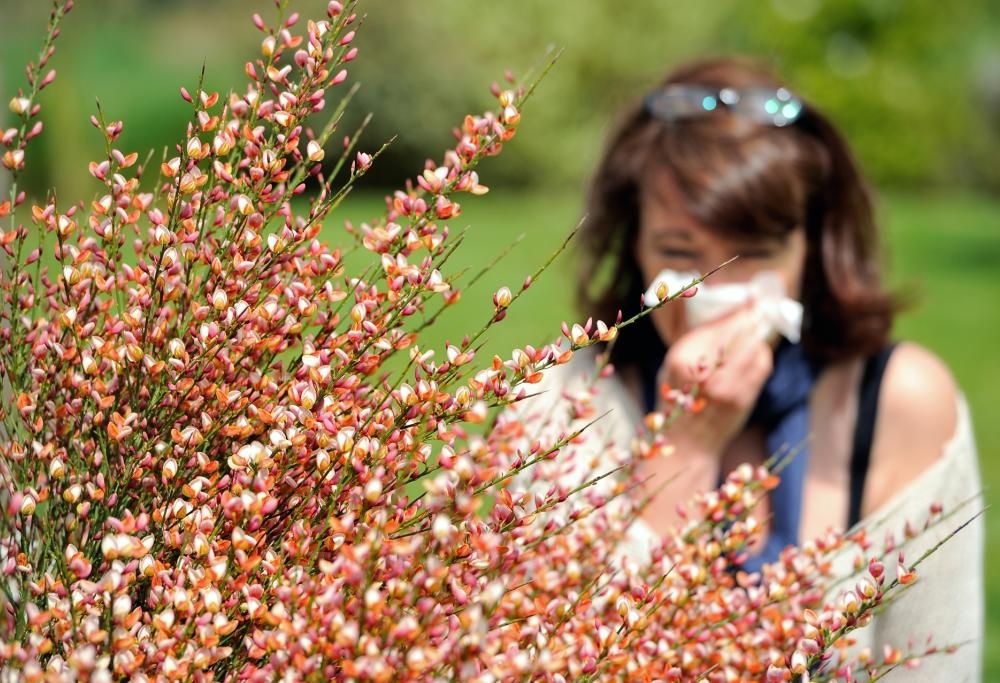 Soffri di allergia? Ecco 7 miti da sfatare!
