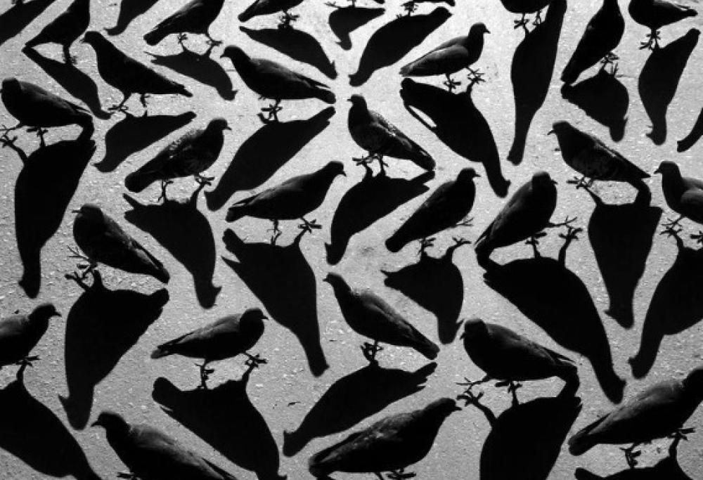 Queste fotografie cambieranno il modo in cui guardi… la tua ombra!