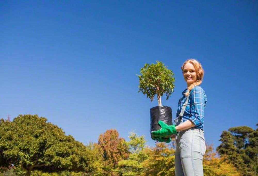 I rimedi per i piccoli incidenti durante il giardinaggio