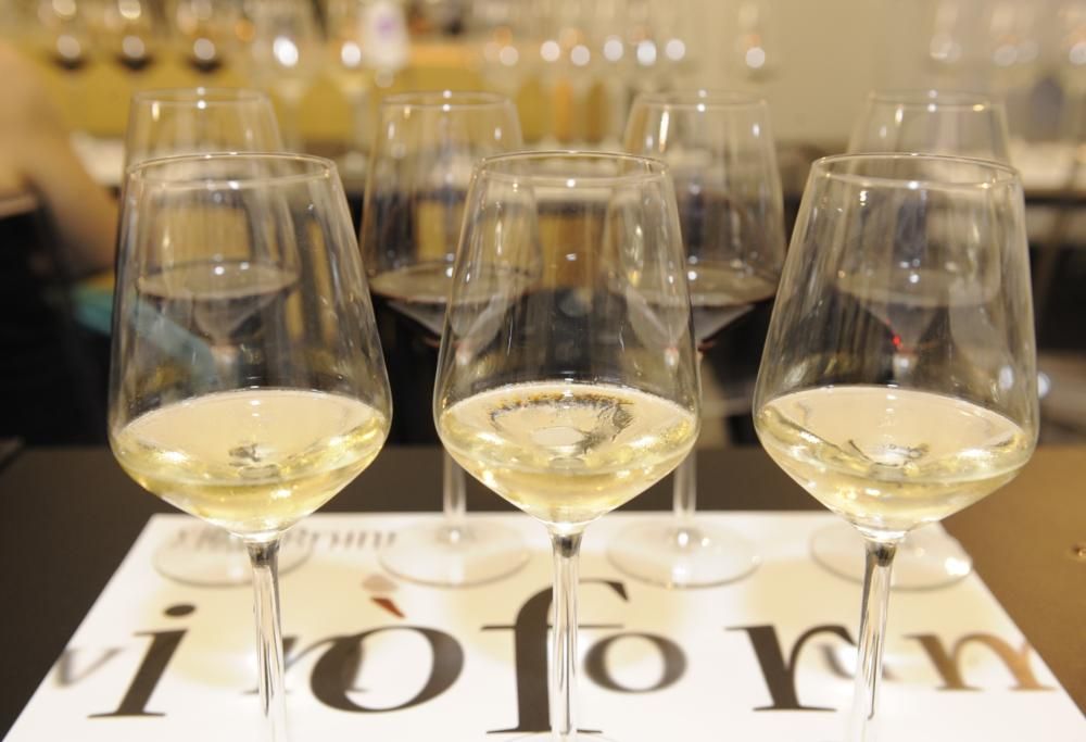 Vinòforum: lo spazio del gusto