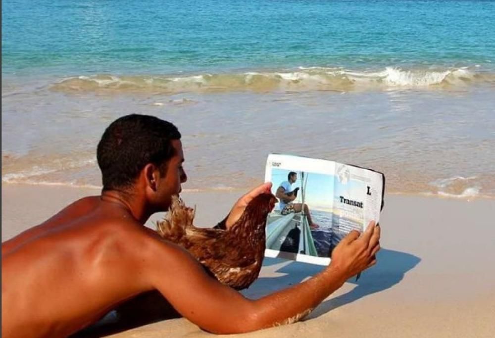 Monique, una gallina in barca a vela