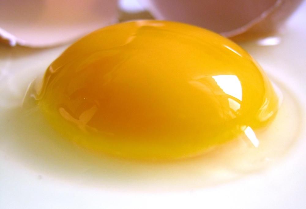 Uova fresche oppure no? Ecco il sistema infallibile per scoprirlo